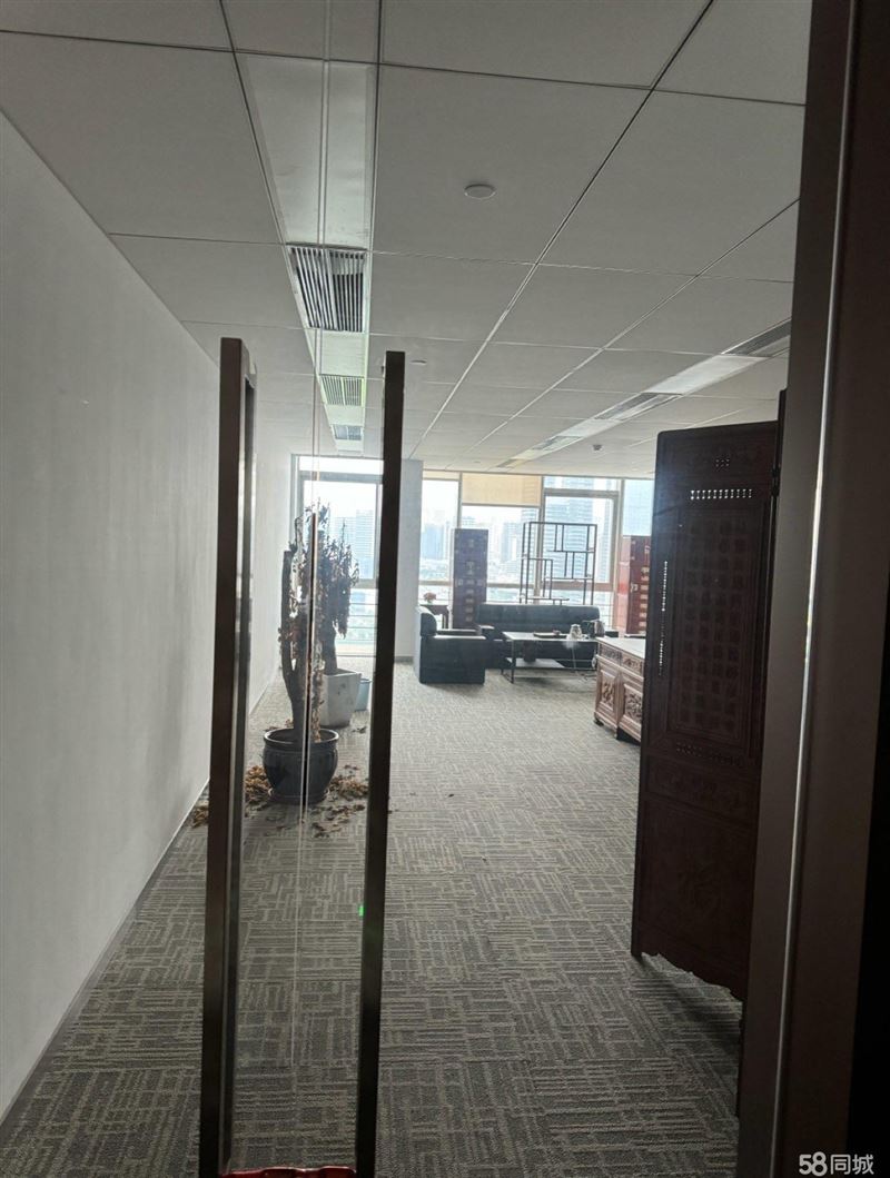 （首推）急租！横琴保税区甲级写字楼，业主直租无中介费，省心省力！